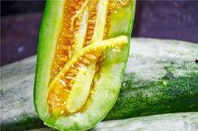 网红写真吃瓜,吃瓜群众眼中的时尚盛宴