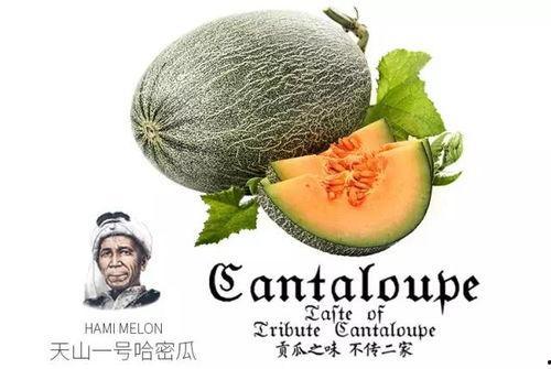 网红吃瓜营销号是什么意思,揭秘网络热点背后的秘密